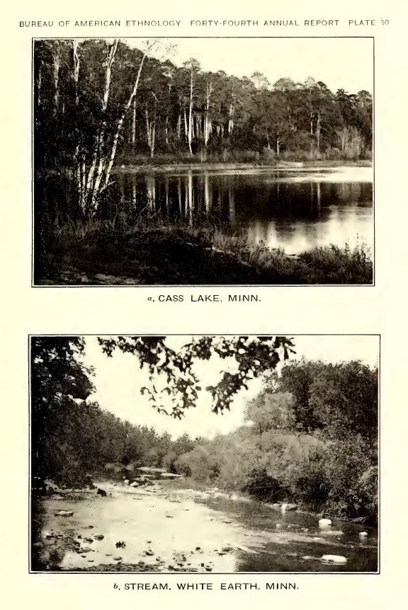 Plate 30: a, Cass Lake, Minn.; b, Stream, White Earth, Minn.