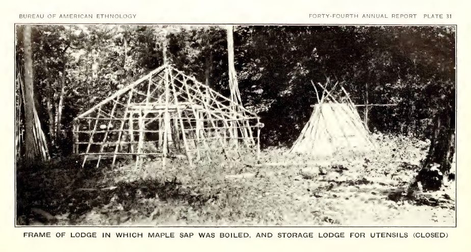 Plate 31: Frame of lodge in which maple sap was boiled, and storage lodge for utensils (closed)
