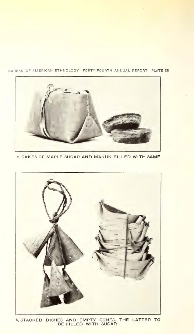 Plate 35: a, Cakes of maple sugar and makuk filled with same; b, Stacked dishes and empty cones, the latter to be filled with sugar