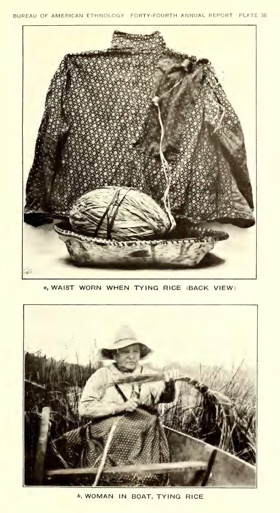 Plate 36: a, Waist worn when tying rice (back view); b, Woman in boat, tying rice