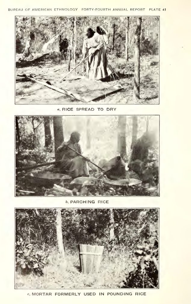 Plate 41: a, Rice spread to dry; b, Parching rice; c, Mortar formerly used in pounding rice
