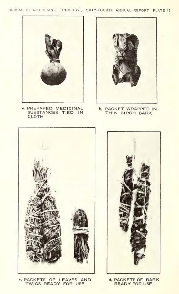 Plate 43: a, Prepared medicinal substances tied in cloth; b, Packet wrapped in thin birch bark; c, Packets of leaves and twigs, ready for use; d, Packets of bark, ready for use