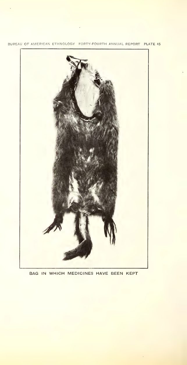 Plate 45: Bag in which medicines have been kept