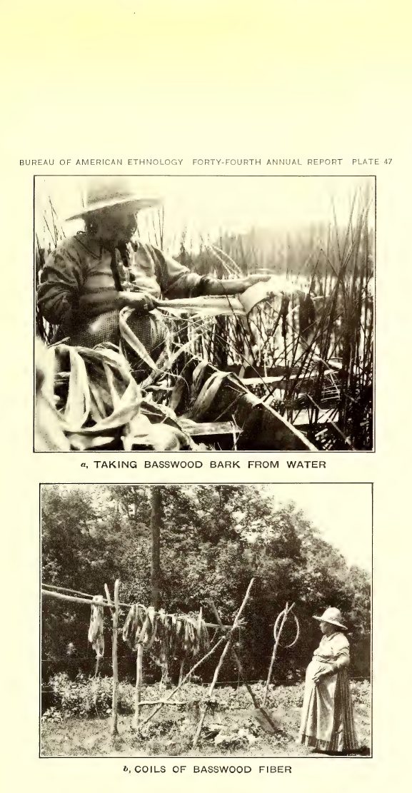 Plate 47: a, Taking basswood bark from water; b, Coils of basswood fiber
