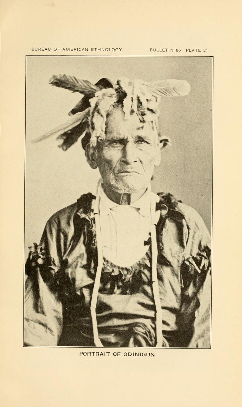 Plate 21. Portrait of Odinigun